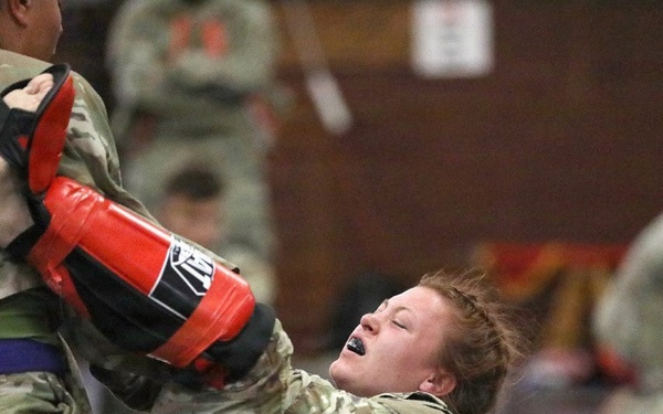 Pennsylvania Army National Guard holds second Keystone Combatives Tournament