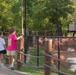 Two young girls stand at a fenced enclosure at a zoo, observing a large flock of pink flamingos. The enclosure features a shallow water area where the flamingos are gathered, surrounded by a black metal fence with wooden post and rope barriers. The setting is outdoors with lush green trees in the background during what appears to be a sunny day.