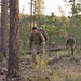 Two soldiers in military camouflage uniforms are conducting a ruck march through a pine forest, carrying large military rucksacks. Both wear numbered bibs (visible numbers 12 and 8), indicating this is a competitive military event or assessment. The setting appears to be a training area with sparse undergrowth, pine cones on the ground, and tall pine trees.