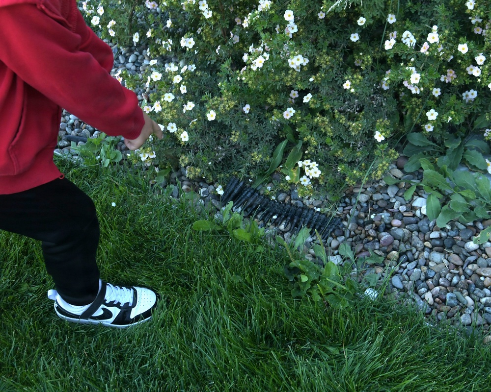 A person wearing a red hoodie, black pants, and black-and-white Nike sneakers is standing on a green lawn near a garden border. The garden features a flowering shrub with small white blooms, river rocks, and a black plastic drainage grate. The photo is taken from an overhead angle, showing only the lower body of the individual.