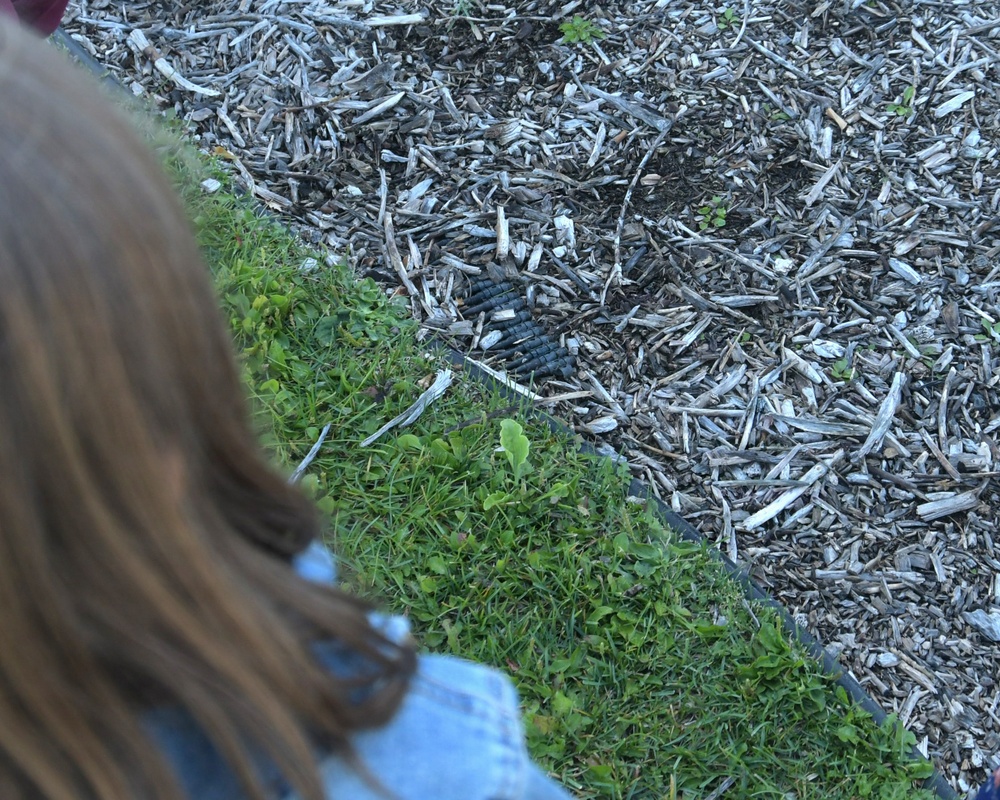 A person with long reddish-brown hair is looking down at a ground-level scene consisting of wood chip mulch and a grass border. A dark-colored caterpillar or larva is visible among the wood chips near the grass edge. The perspective is from above, shot over the person's shoulder toward the ground.