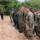U.S. Marines and Thailand Mine Action Center participate in Deployed for Training Bilateral EOD Exercise A military formation ceremony showing personnel from at least two different armed forces standing in a line on a dirt field. A speaker at a microphone stand addresses the assembled troops, with a civilian interpreter or aide standing nearby. The setting appears to be an outdoor training or ceremonial area surrounded by dense vegetation.