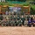 U.S. Marines and Thailand Mine Action Center participate in Deployed for Training Bilateral EOD Exercise A large group photo of military personnel from multiple nations posing together at what appears to be a joint military exercise or training event. A banner in the background references a 'Deployed Training Bilateral EOD Exercise,' with visible American and Thai flags suggesting a US-Thailand bilateral military cooperation event. Participants are wearing a mix of camouflage uniforms and civilian attire, arranged in three rows for the formal group photograph.