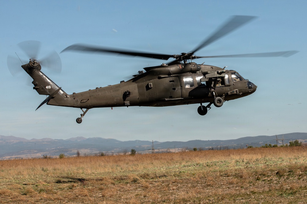 A United States Army UH-60 Black Hawk helicopter (tail number 419) is captured in low-altitude flight over an open grassy field. The helicopter is in olive drab military livery with 'UNITED STATES ARMY' markings visible on the fuselage. Mountains and a power transmission line are visible in the background under a clear blue sky.