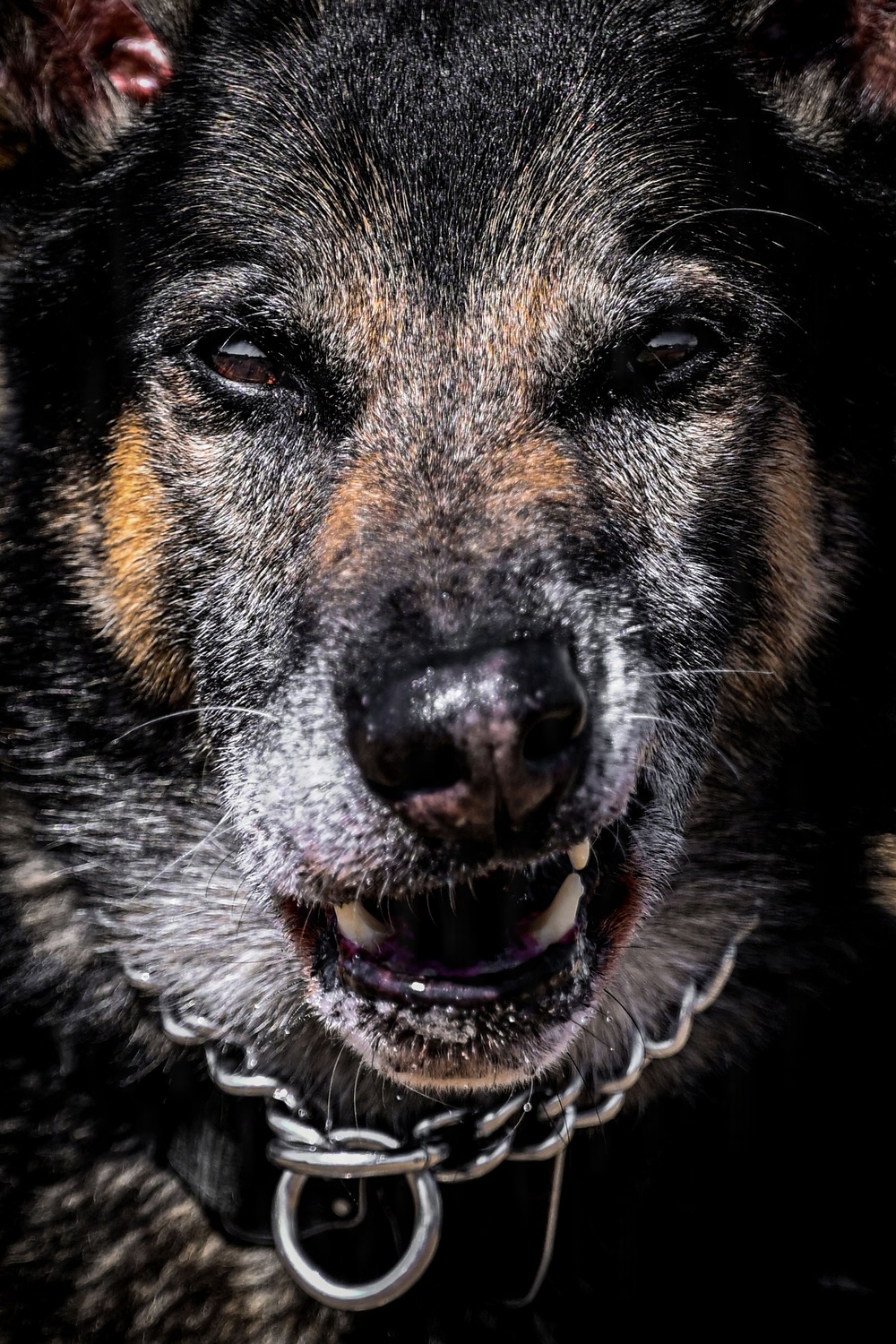 MWD Vantor: a closer look at lethality