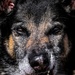 MWD Vantor: a closer look at lethality