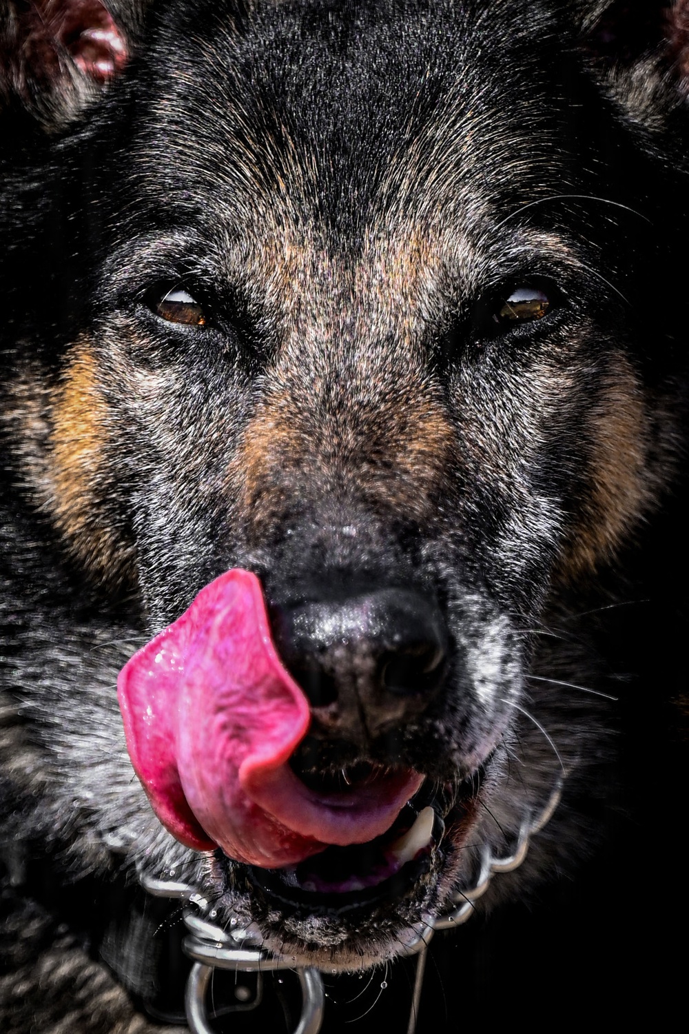 MWD Vantor: a closer look at lethality