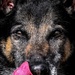 MWD Vantor: a closer look at lethality