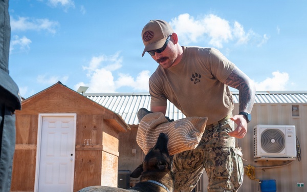 A military or law enforcement handler in camouflage pants and a tan shirt is working with a German Shepherd dog, using a burlap training sleeve or reward toy during what appears to be a K9 training exercise. The setting is an outdoor compound with wooden structures and shipping containers, consistent with a forward operating base or training facility. A second person in dark clothing is partially visible in the foreground.
