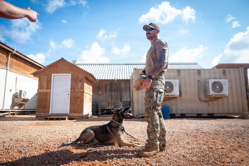 A military handler in camouflage uniform works with a military working dog (Belgian Malinois or German Shepherd) in what appears to be a forward operating base or military compound. The handler is holding what looks like a training aid or shoe while the dog lies attentively on a gravel surface. The setting includes temporary structures, shipping containers with air conditioning units, and a small wooden building.
