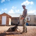 A military handler in camouflage uniform works with a military working dog (Belgian Malinois or German Shepherd) in what appears to be a forward operating base or military compound. The handler is holding what looks like a training aid or shoe while the dog lies attentively on a gravel surface. The setting includes temporary structures, shipping containers with air conditioning units, and a small wooden building.