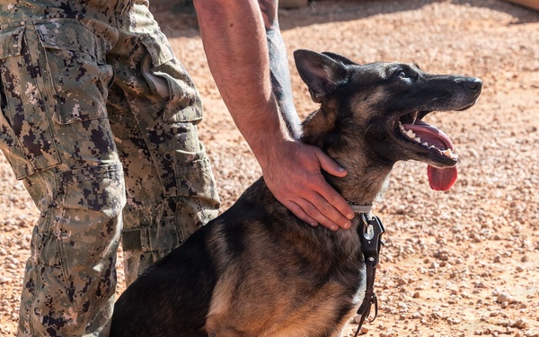 CSL Kismayo MWD Bite Training