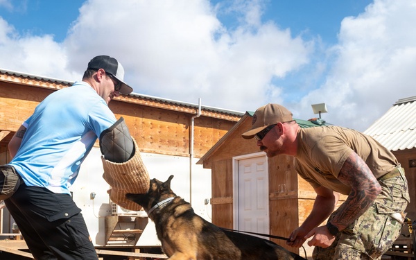 CSL Kismayo MWD Bite Training