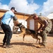 A military working dog (MWD) training demonstration is taking place on a gravel surface near wooden structures. A handler in camouflage uniform controls the dog on a leash while the dog bites a protective sleeve worn by a decoy in civilian clothing. Observers watch from the background near a wooden building.