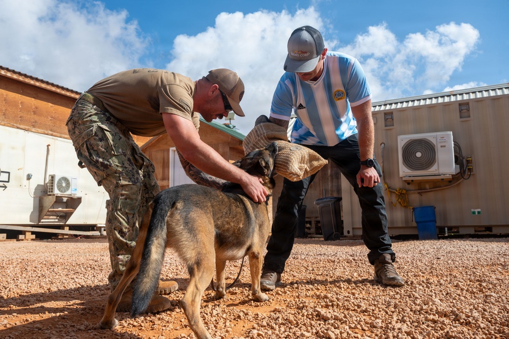 Two men are interacting with a military working dog, likely a German Shepherd, in an outdoor compound area with gravel ground and shipping container structures. One man is wearing military camouflage uniform while the other is in civilian clothing including an Adidas Argentina soccer jersey. The activity appears to be a training exercise or reward session involving a burlap/jute training bite sleeve.