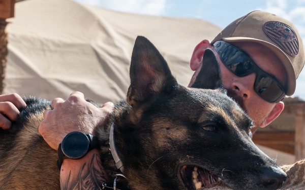 A military or law enforcement working dog handler is conducting a bite training exercise with a Belgian Malinois. The dog is actively biting a padded bite sleeve worn by a decoy or training assistant. The handler, wearing a tan cap with a US flag emblem and reflective sunglasses, steadies the dog from behind while it performs the bite.