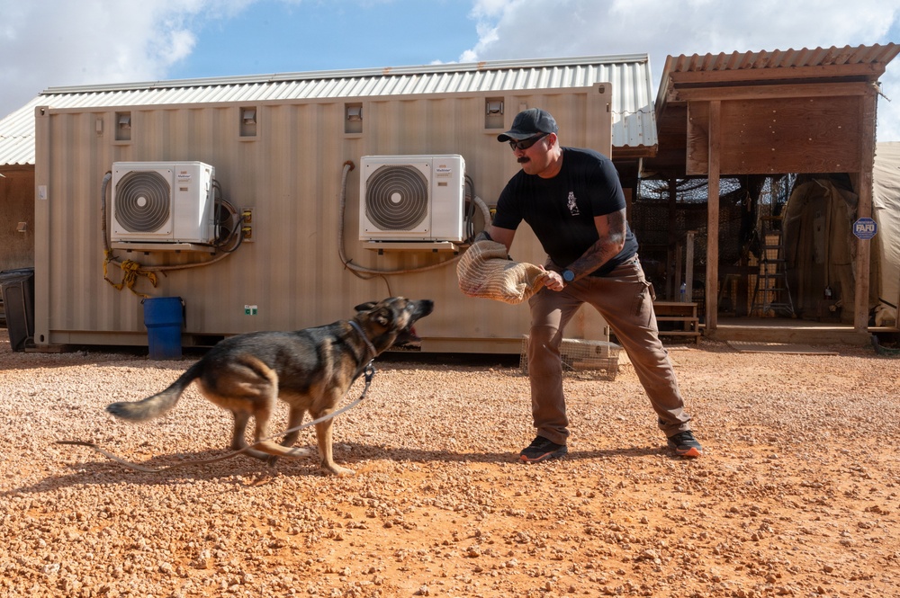 A man in a black t-shirt and brown pants is conducting a dog training exercise with a German Shepherd on a gravel surface. He is holding what appears to be a bite sleeve or training pad while the dog lunges toward him in an attack/apprehension drill. The setting appears to be a military or law enforcement working dog training facility, indicated by the shipping container structures and tactical equipment visible in the background.