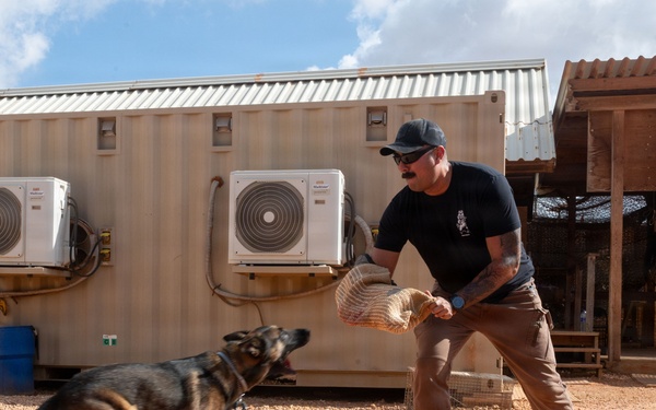 A man in a black t-shirt and brown pants is conducting a dog training exercise with a German Shepherd on a gravel surface. He is holding what appears to be a bite sleeve or training pad while the dog lunges toward him in an attack/apprehension drill. The setting appears to be a military or law enforcement working dog training facility, indicated by the shipping container structures and tactical equipment visible in the background.