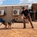 A man in a black t-shirt and brown pants is conducting a dog training exercise with a German Shepherd on a gravel surface. He is holding what appears to be a bite sleeve or training pad while the dog lunges toward him in an attack/apprehension drill. The setting appears to be a military or law enforcement working dog training facility, indicated by the shipping container structures and tactical equipment visible in the background.