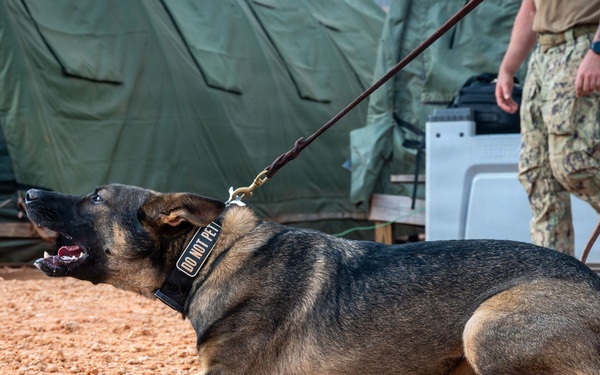 A military working dog, identified by its 'DO NOT PET' collar patch, is lying on a gravel surface in an alert/agitated posture with its mouth open and head raised. The dog is on a leash held by a person in military camouflage uniform visible in the background. The setting appears to be a forward operating base or military camp, indicated by the green military tents and equipment visible behind.