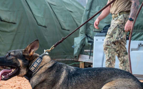 CSL Kismayo MWD Bite Training