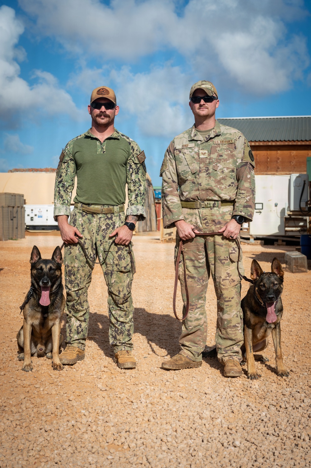 Two military service members pose with their military working dogs (MWDs) at what appears to be a forward operating base. The person on the left wears U.S. Navy NWU Type III (digital camouflage) uniform, while the person on the right wears U.S. Air Force OCP (Operational Camouflage Pattern) uniform with visible 'U.S. AIR FORCE' tape and a name tape reading 'ZEIGT'. Each handler stands beside a Belgian Malinois or German Shepherd MWD on a leash.