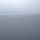 Ships sail in formation during Phoenix Express 2026 An aerial or elevated photograph showing a formation of approximately six naval vessels spread across an open ocean under overcast, hazy conditions. The ships appear to be operating in a loose formation, possibly during a naval exercise or patrol. Weather conditions are poor with low visibility and a grey, cloud-covered sky.