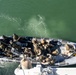 An aerial/overhead view of a gray rigid inflatable boat (RIB) marked 'TUNISIAN NAVY' carrying multiple armed military personnel in tactical gear. The personnel appear to be conducting a maritime boarding or insertion exercise, with soldiers in mixed camouflage uniforms and helmets. The boat is positioned alongside what appears to be a larger vessel, visible at the bottom of the frame.