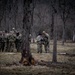 2-289 IN BN FTX
