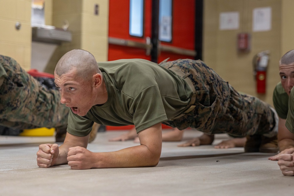 Bravo Company Incentive Training