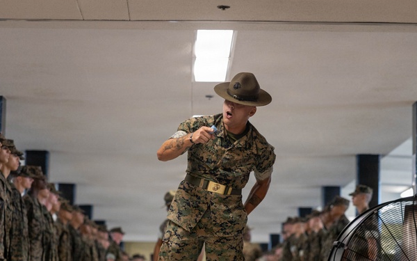 Bravo Company Incentive Training