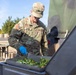 A U.S. Army soldier in OCP (Operational Camouflage Pattern) uniform is preparing food outdoors, handling what appears to be chopped green vegetables in a metal tray. The soldier is wearing blue nitrile gloves and using a spatula or scraper tool, suggesting field kitchen or outdoor cooking operations. The setting appears to be a military installation or training area based on the surroundings.