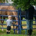 A young blonde child in a gray t-shirt and black shorts stands at a blue metal fence panel, reaching through to touch or feed a brown horse that is grazing. An adult, visible only from the waist down, stands nearby at the same fence interacting with a black horse. The scene appears to take place at an outdoor equestrian event or farm setting with green grass and trees in the background.