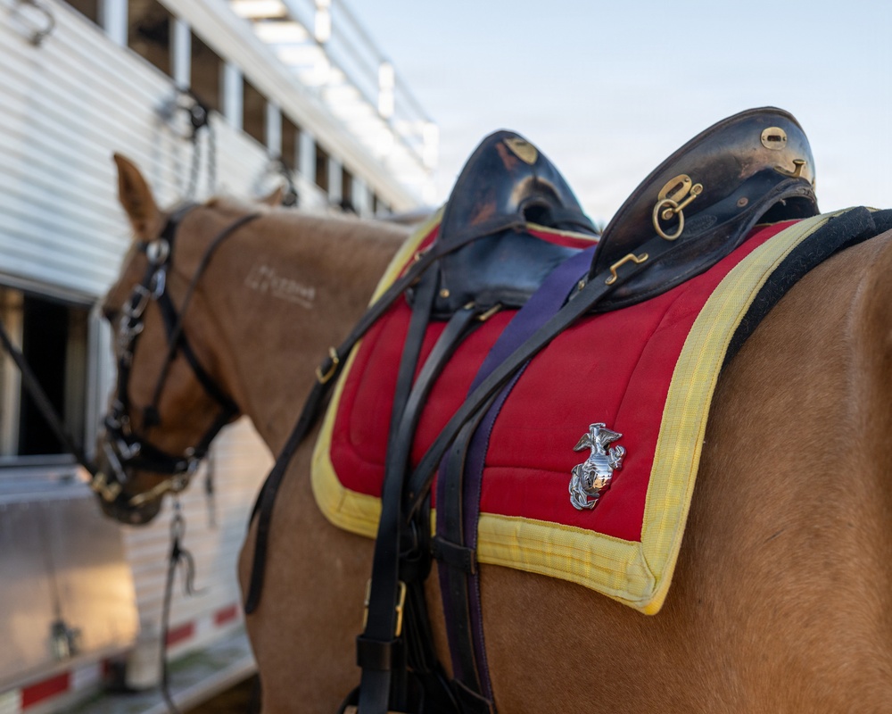 Marine Corps Logistics Base Barstow and U.S. Marine Corps Mounted Color Guard participate in the Barstow Western Roundup