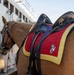 Marine Corps Logistics Base Barstow and U.S. Marine Corps Mounted Color Guard participate in the Barstow Western Roundup