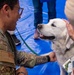 A U.S. military service member in Army/Air Force multicam camouflage uniform with an American flag patch interacts with a white Golden Retriever or similar breed therapy dog at what appears to be a wellness or resource event. The soldier, who has visible tattoos on his forearm and wears glasses, is petting the dog alongside another person. A pamphlet or brochure labeled 'RESOURCE' is visible in the lower right corner, suggesting this is a mental health or support services event.