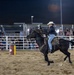 Marine Corps Logistics Base Barstow and U.S. Marine Corps Mounted Color Guard participate in the Barstow Western Roundup
