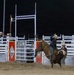 Marine Corps Logistics Base Barstow and U.S. Marine Corps Mounted Color Guard participate in the Barstow Western Roundup