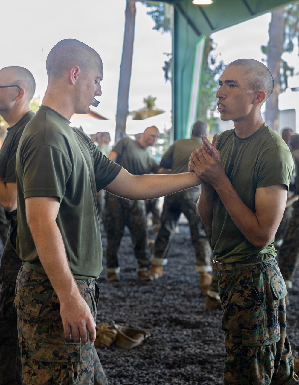 Bravo Company MCMAP