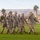 A group of U.S. Marines in desert MARPAT camouflage uniforms are marching in formation across a grass parade field while rendering a salute. The setting appears to be a military installation in a desert region, likely in the American Southwest, identifiable by the arid mountains, palm trees, and base buildings in the background. This appears to be a formal military ceremony or parade review.