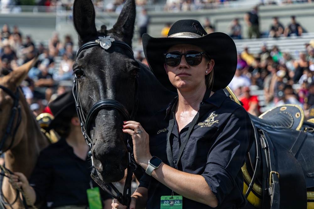 A woman wearing a black cowboy hat, sunglasses, and an Army West Point staff shirt stands beside a black horse with a decorated bridle at what appears to be a stadium event. She is holding the horse's bridle with red-painted fingernails and wearing a smartwatch and a green event credential badge. The background shows stadium bleachers filled with spectators.