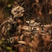 A soldier in full camouflage gear is positioned prone in dense brush, appearing to be in a concealed observation or overwatch position. The individual is equipped with a modern automatic weapon fitted with optical sighting systems. The image is captured through foliage, suggesting either a surveillance perspective or deliberate compositional framing to emphasize concealment.