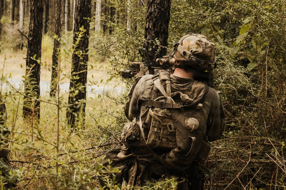 A soldier in full tactical gear is positioned in a wooded area, aiming a rifle toward an open clearing. The individual is viewed from behind and is partially concealed by dense vegetation. The scene appears to depict a military training exercise or field operation in a forest environment.