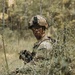 A U.S. Army soldier in full combat gear is positioned among dense woodland vegetation, appearing to be on patrol or in a tactical field exercise. The soldier wears MultiCam camouflage with what appears to be an 82nd Airborne Division patch on the left shoulder, and has face camouflage paint applied. The setting is a forested environment with low scrub brush providing natural concealment.