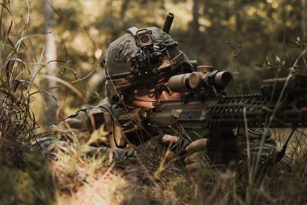 A soldier in full combat gear is lying prone in a wooded area, aiming a rifle equipped with an optical scope. The individual is wearing camouflage uniform, a tactical helmet with mounted devices including what appears to be a small action camera and night vision mount. The setting appears to be a forest training or operational environment with natural ground cover.