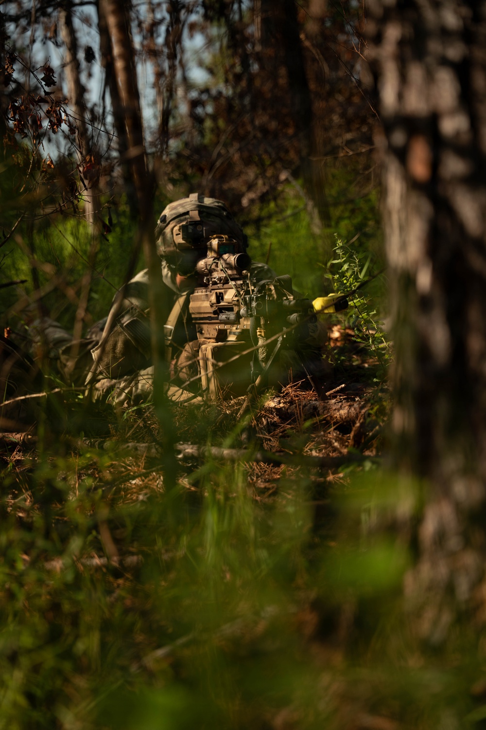 A soldier in full combat gear is positioned in a wooded area, aiming a rifle equipped with an optical scope. The individual is partially concealed by foreground vegetation, suggesting a tactical concealment or overwatch position. The image appears to depict a military training exercise or field operation.