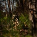 A soldier in full combat gear is positioned in a wooded area, aiming a rifle equipped with an optical scope. The individual is partially concealed by foreground vegetation, suggesting a tactical concealment or overwatch position. The image appears to depict a military training exercise or field operation.