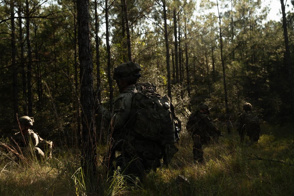 A group of soldiers in full combat gear and camouflage uniforms are conducting a patrol or field exercise through a pine forest. The image is taken from behind the lead soldier, capturing the column formation moving through sparse undergrowth. The lighting is dappled and backlit, creating a dramatic contrast between shadow and sunlight filtering through the tree canopy.