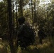 A group of soldiers in full combat gear and camouflage uniforms are conducting a patrol or field exercise through a pine forest. The image is taken from behind the lead soldier, capturing the column formation moving through sparse undergrowth. The lighting is dappled and backlit, creating a dramatic contrast between shadow and sunlight filtering through the tree canopy.