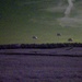 A low-light nighttime photograph showing what appears to be a military or training parachute drop over an open field. Multiple parachutes are visible descending near the horizon line against a dark, greenish-tinted sky. The image is heavily grainy and noisy, consistent with a high-ISO or night-vision-adjacent camera capture.